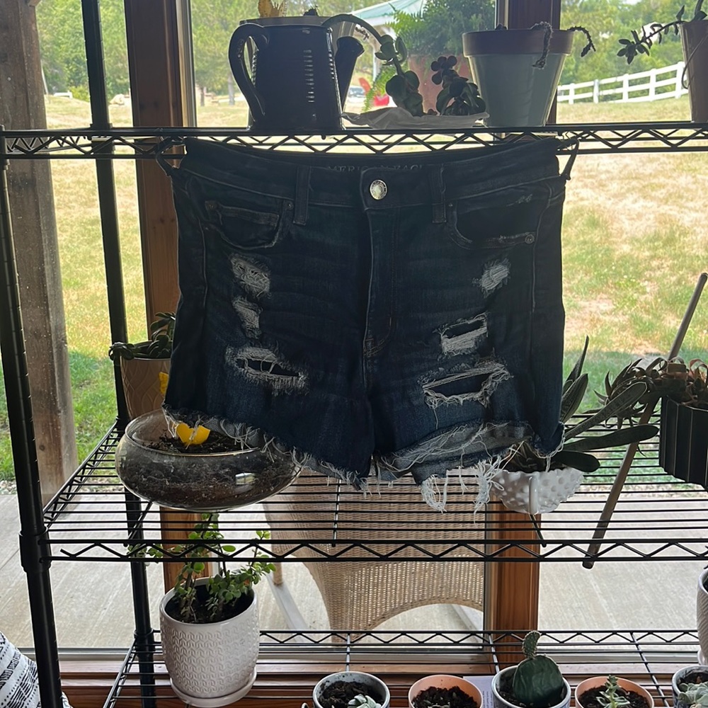 American Eagle jean shorts.